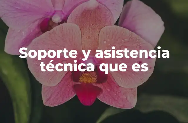 Soporte y Asistencia Técnica que es 2 El rol del soporte técnico en la solución de problemas