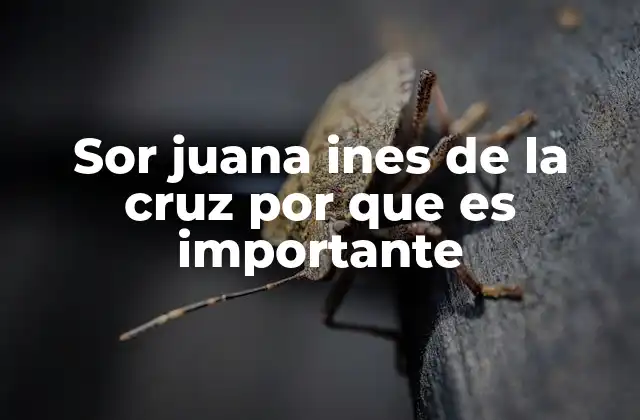 Sor Juana Ines de la Cruz por que es Importante