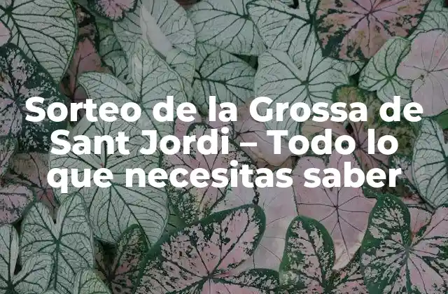 Sorteo de la Grossa de Sant Jordi – Todo Lo que Necesitas Saber