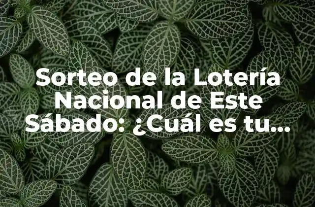 Sorteo de la Lotería Nacional de Este Sábado: ¿cuál es Tu Estrategia para Ganar?