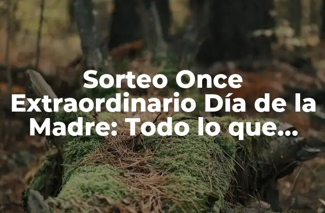 Sorteo Once Extraordinario Día de la Madre: Todo Lo que Necesitas Saber