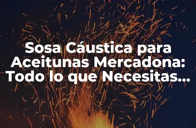 Sosa Cáustica para Aceitunas Mercadona: Todo Lo que Necesitas Saber