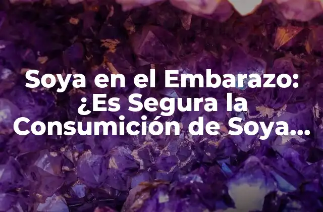Soya en el Embarazo: ¿es Segura la Consumición de Soya durante la Gestación?