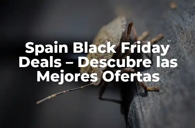 Spain Black Friday Deals - Descubre las Mejores Ofertas 2 Orígenes del Black Friday en España