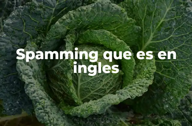 El impacto del spamming en la comunicación digital