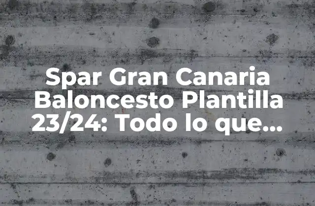 Spar Gran Canaria Baloncesto Plantilla 23/24: Todo Lo que Necesitas Saber