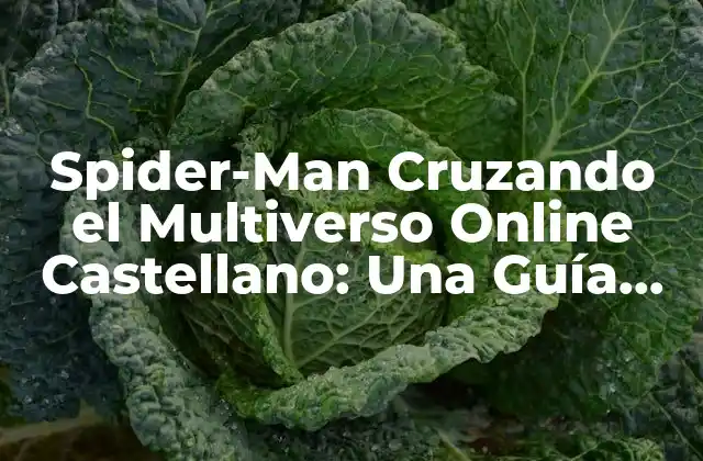 Spider-man Cruzando el Multiverso Online Castellano: una Guía Completa