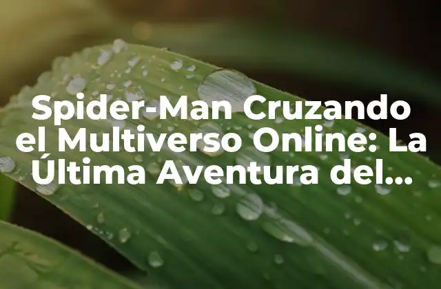 Spider-man Cruzando el Multiverso Online: la Última Aventura Del Hombre Araña