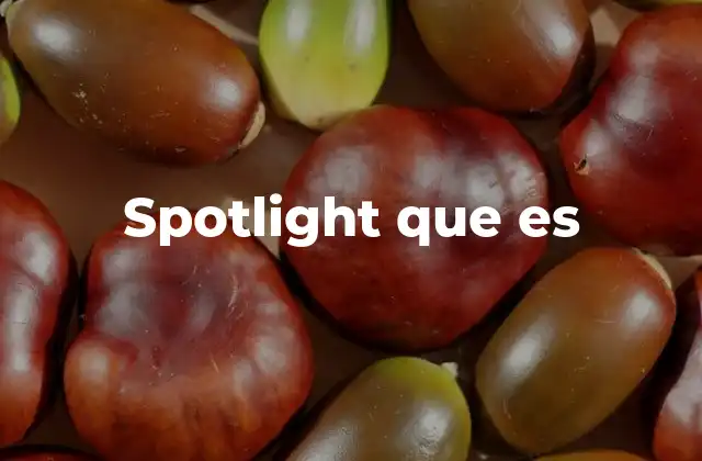 Spotlight que es