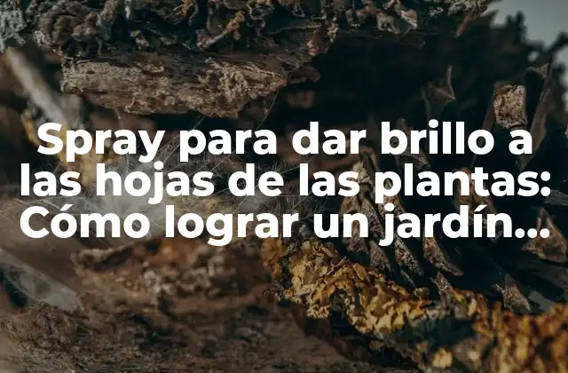 Spray para Dar Brillo a las Hojas de las Plantas: Cómo Lograr un Jardín Impresionante