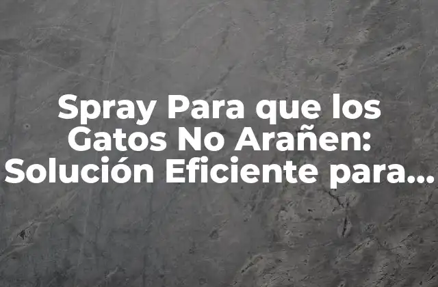 Spray para que los Gatos No Arañen: Solución Eficiente para Proteger Tus Muebles
