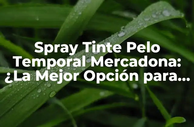 Spray Tinte Pelo Temporal Mercadona: ¿la Mejor Opción para Tu Cabello?