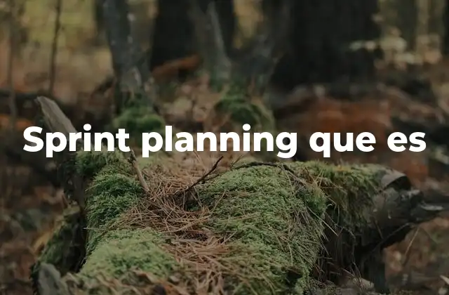 Sprint Planning que es 2 La importancia del plan de trabajo en proyectos ágiles