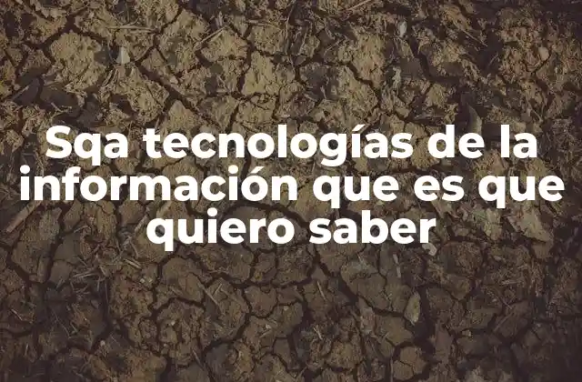 Sqa Tecnologías de la Información que es que Quiero Saber