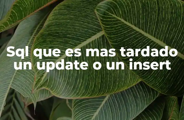 Sql que es mas Tardado un Update o un Insert