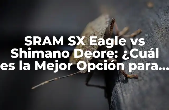 Sram Sx Eagle Vs Shimano Deore: ¿cuál es la Mejor Opción para Tu Bicicleta de Montaña?