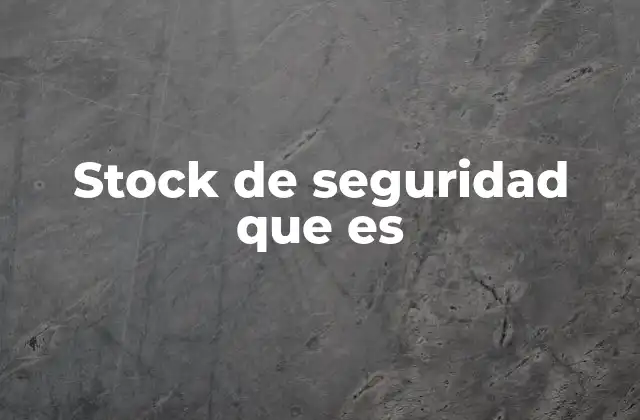 Stock de Seguridad que es