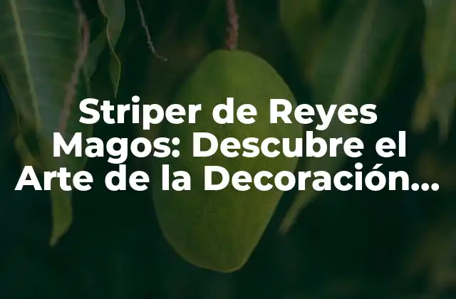 Striper de Reyes Magos: Descubre el Arte de la Decoración Navideña