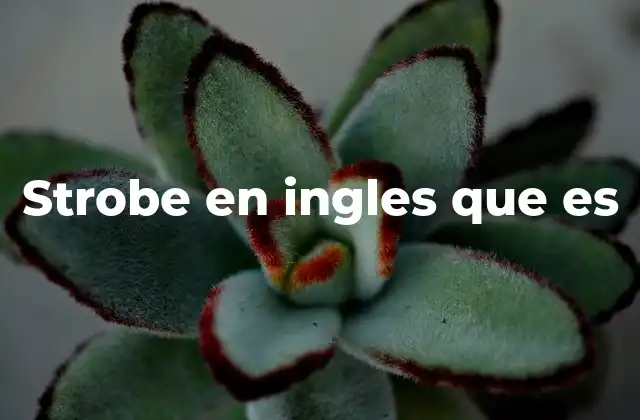 Strobe en Ingles que es
