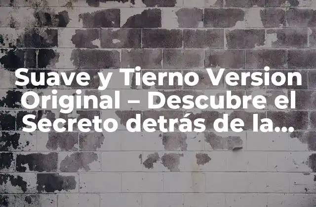 Suave y Tierno Version Original – Descubre el Secreto Detrás de la Tendencia