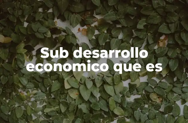 Sub Desarrollo Economico que es
