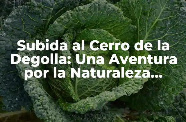 Subida Al Cerro de la Degolla: una Aventura por la Naturaleza Extrema