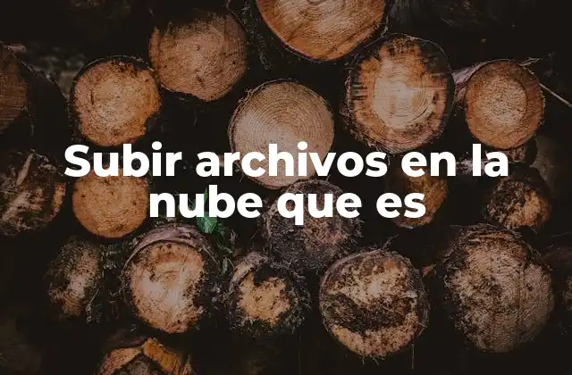 Subir Archivos en la Nube que es
