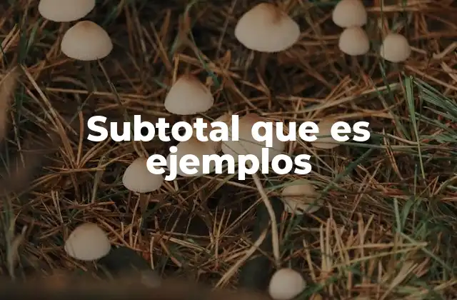 Subtotal que es Ejemplos