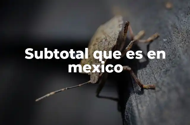 Subtotal que es en Mexico