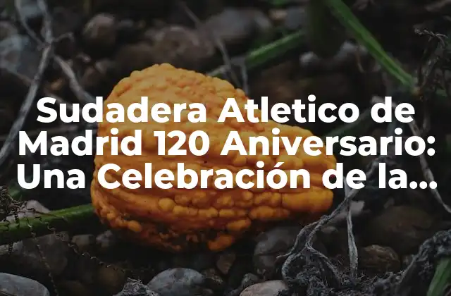 Sudadera Atletico de Madrid 120 Aniversario: una Celebración de la Historia