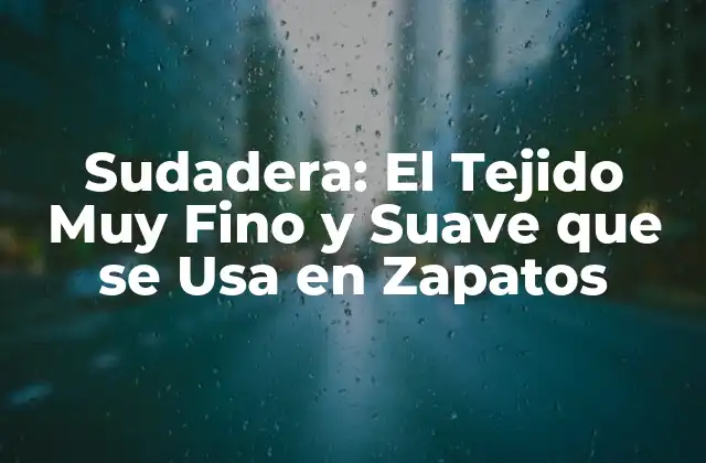 Sudadera: el Tejido Muy Fino y Suave que Se Usa en Zapatos