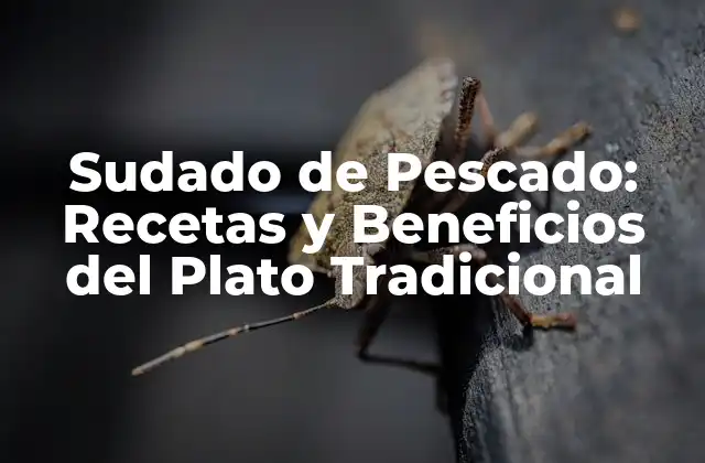 Sudado de Pescado: Recetas y Beneficios Del Plato Tradicional