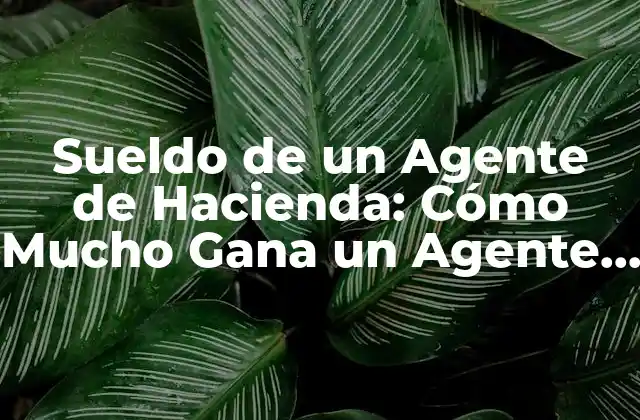 Sueldo de un Agente de Hacienda: Cómo Mucho Gana un Agente de Hacienda