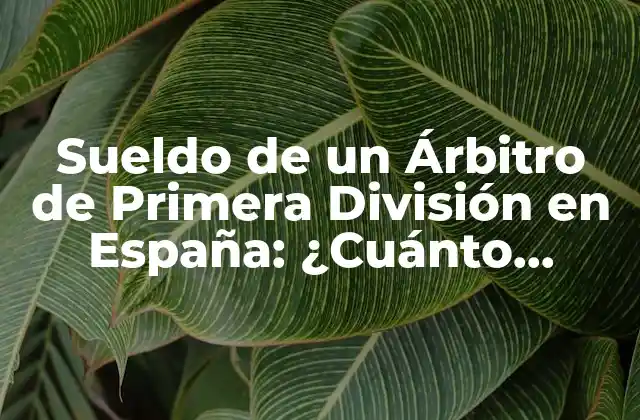 Sueldo de un Árbitro de Primera División en España: ¿cuánto Ganan? 2 La Importancia de los Árbitros en el Fútbol