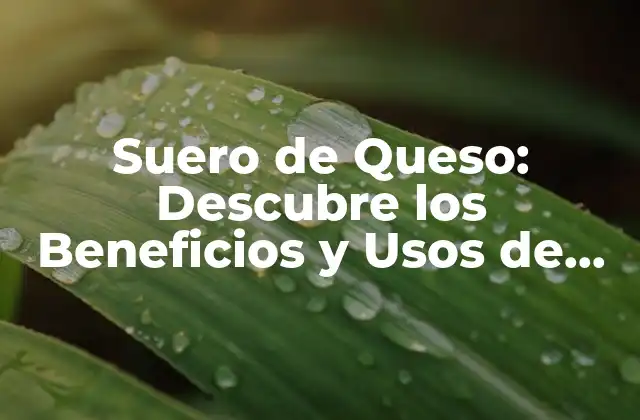 Suero de Queso: Descubre los Beneficios y Usos de Este Producto Natural