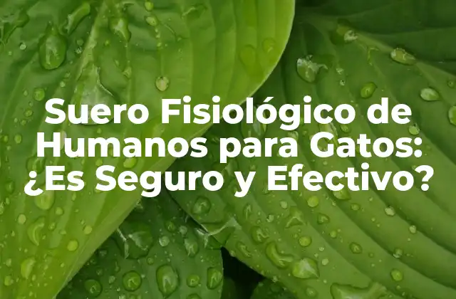 Suero Fisiológico de Humanos para Gatos: ¿es Seguro y Efectivo?