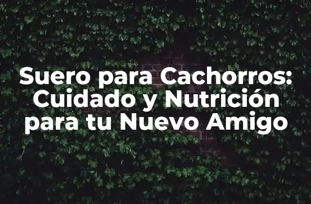 Suero para Cachorros: Cuidado y Nutrición para Tu Nuevo Amigo