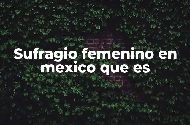 Sufragio Femenino en Mexico que es