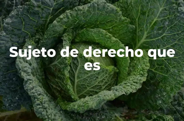 Sujeto de Derecho que es