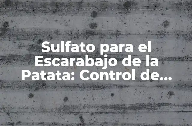 Sulfato para el Escarabajo de la Patata: Control de Plagas Efectivo
