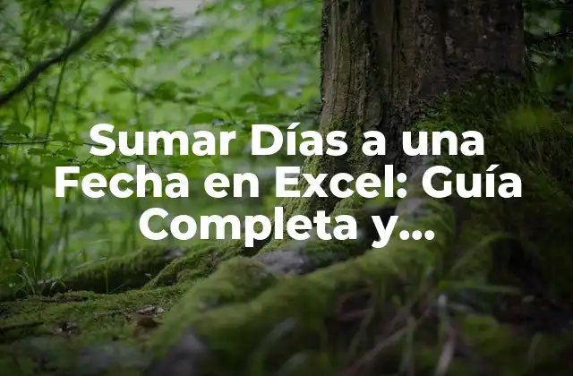 Sumar Días a una Fecha en Excel: Guía Completa y Actualizada