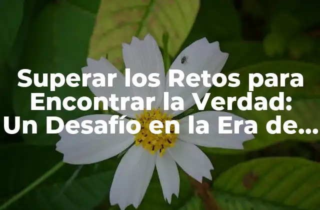 Superar los Retos para Encontrar la Verdad: un Desafío en la Era de la Información