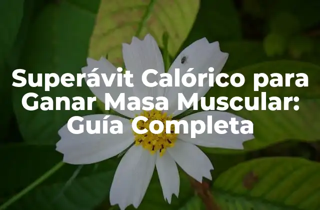 Superávit Calórico para Ganar Masa Muscular: Guía Completa