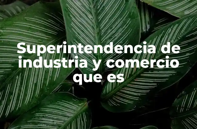 Superintendencia de Industria y Comercio que es