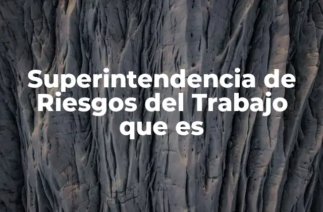 Superintendencia de Riesgos Del Trabajo que es