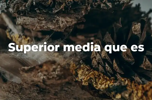 Superior Media que es