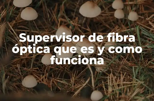 Supervisor de Fibra Óptica que es y como Funciona