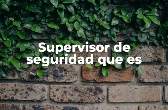 Supervisor de Seguridad que es