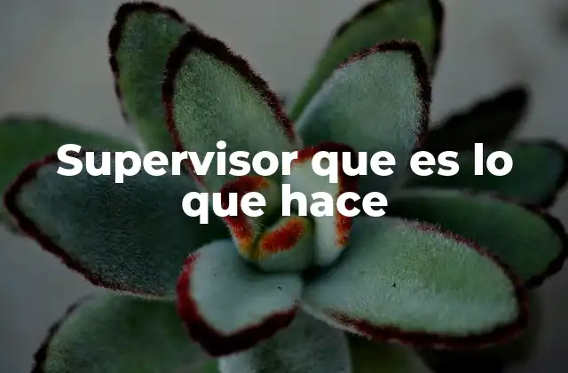 Supervisor que es Lo que Hace