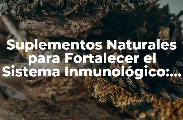 Suplementos Naturales para Fortalecer el Sistema Inmunológico: ¡descubre los Mejores!